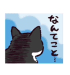 ハチワレ猫です。（個別スタンプ：29）