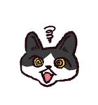 ハチワレ猫です。（個別スタンプ：31）