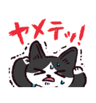 ハチワレ猫です。（個別スタンプ：34）