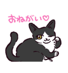 ハチワレ猫です。（個別スタンプ：39）