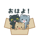 飛び出す！3びきのこねこ♪（個別スタンプ：1）