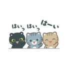 飛び出す！3びきのこねこ♪（個別スタンプ：4）
