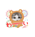 ラテちゃんの可愛いスタンプ（個別スタンプ：11）