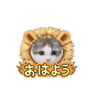 ラテちゃんの可愛いスタンプ（個別スタンプ：14）