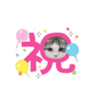 ラテちゃんの可愛いスタンプ（個別スタンプ：15）