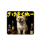 お酒とネコ好きな日常会話61（個別スタンプ：1）