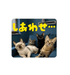 お酒とネコ好きな日常会話61（個別スタンプ：8）