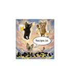 お酒とネコ好きな日常会話61（個別スタンプ：16）