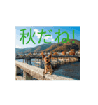 秋だね 1（個別スタンプ：1）