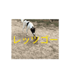 秋だね 1（個別スタンプ：2）