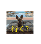 秋だね 1（個別スタンプ：8）