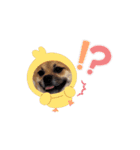 天下とお市②（個別スタンプ：2）