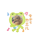 動くレオくんスタンプ（個別スタンプ：8）