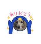 動くレオくんスタンプ（個別スタンプ：11）