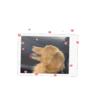 動くレオくんスタンプ（個別スタンプ：12）