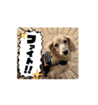 動くレオくんスタンプ（個別スタンプ：13）