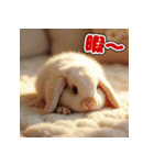 秋の猫と兎 日常スタンプ（個別スタンプ：5）