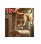 秋の猫と兎 日常スタンプ（個別スタンプ：12）