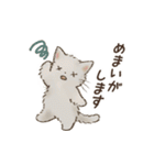 ネガティブすぎる猫たちのスタンプ（個別スタンプ：12）