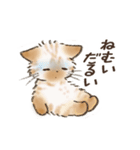 ネガティブすぎる猫たちのスタンプ（個別スタンプ：17）