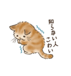 ネガティブすぎる猫たちのスタンプ（個別スタンプ：24）
