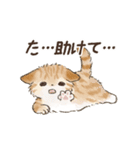 ネガティブすぎる猫たちのスタンプ（個別スタンプ：25）