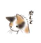 ネガティブすぎる猫たちのスタンプ（個別スタンプ：26）
