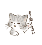ネガティブすぎる猫たちのスタンプ（個別スタンプ：28）