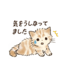 ネガティブすぎる猫たちのスタンプ（個別スタンプ：35）