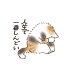 ネガティブすぎる猫たちのスタンプ（個別スタンプ：38）