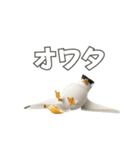 かもめうざめ（個別スタンプ：3）