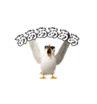 かもめうざめ（個別スタンプ：5）