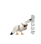 かもめうざめ（個別スタンプ：14）