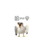 かもめうざめ（個別スタンプ：15）