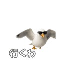 かもめうざめ（個別スタンプ：16）