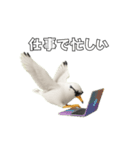 かもめうざめ（個別スタンプ：18）