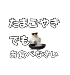 かもめうざめ（個別スタンプ：21）