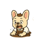 フレンチブルドッグのバリスタ（個別スタンプ：13）