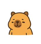のんびりカピバラおしゃべり日和（個別スタンプ：1）