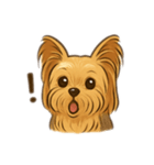 ヨーチワのぱるくん(ヨークシャー×チワワ)（個別スタンプ：8）
