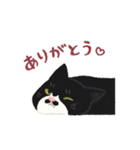 ひげねこの日常◇動くスタンプ（個別スタンプ：2）