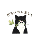 ひげねこの日常◇動くスタンプ（個別スタンプ：3）