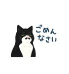 ひげねこの日常◇動くスタンプ（個別スタンプ：5）