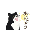 ひげねこの日常◇動くスタンプ（個別スタンプ：13）