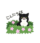 ひげねこの日常◇動くスタンプ（個別スタンプ：15）