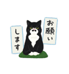 ひげねこの日常◇動くスタンプ（個別スタンプ：17）