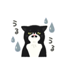 ひげねこの日常◇動くスタンプ（個別スタンプ：22）