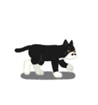 ひげねこの日常◇動くスタンプ（個別スタンプ：24）