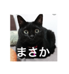 気まぐれ黒ニャン（個別スタンプ：12）