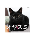 気まぐれ黒ニャン（個別スタンプ：15）